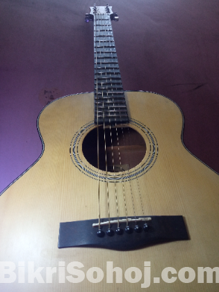 Chard acoustic guitar